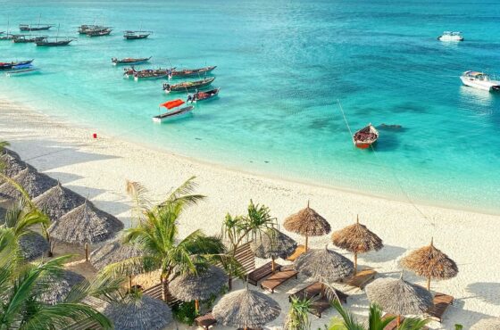 7 Days Masai Mara Serengeti Ngorongoro Zanzibar Safari and Beach Experience
